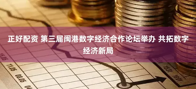 正好配资 第三届闽港数字经济合作论坛举办 共拓数字经济新局
