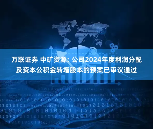 万联证券 中矿资源: 公司2024年度利润分配及资本公积金转增股本的预案已审议通过